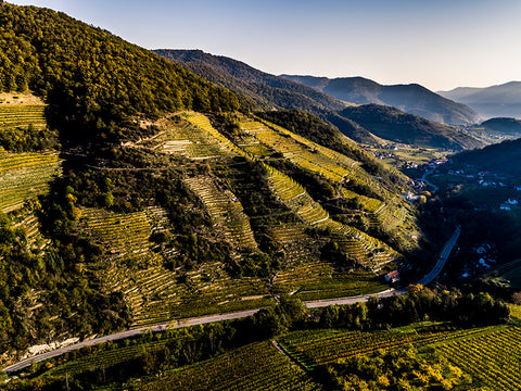Drohnenfoto der Rieden Kalkofen und Biern im Spitzer Graben in der Wachau
