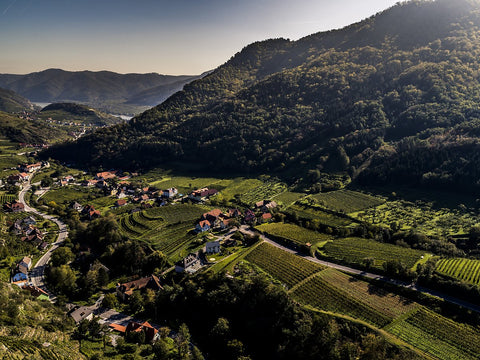 Blick von der Ried Obere Point über Weinberge und Tal der Wachau